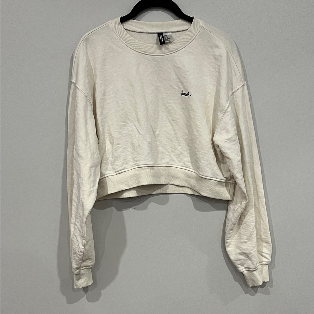 H&M Cropped Sweater